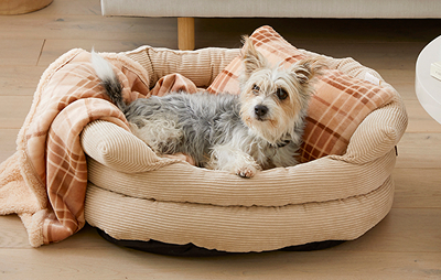 Cushions_Pets - 1_MB.jpg